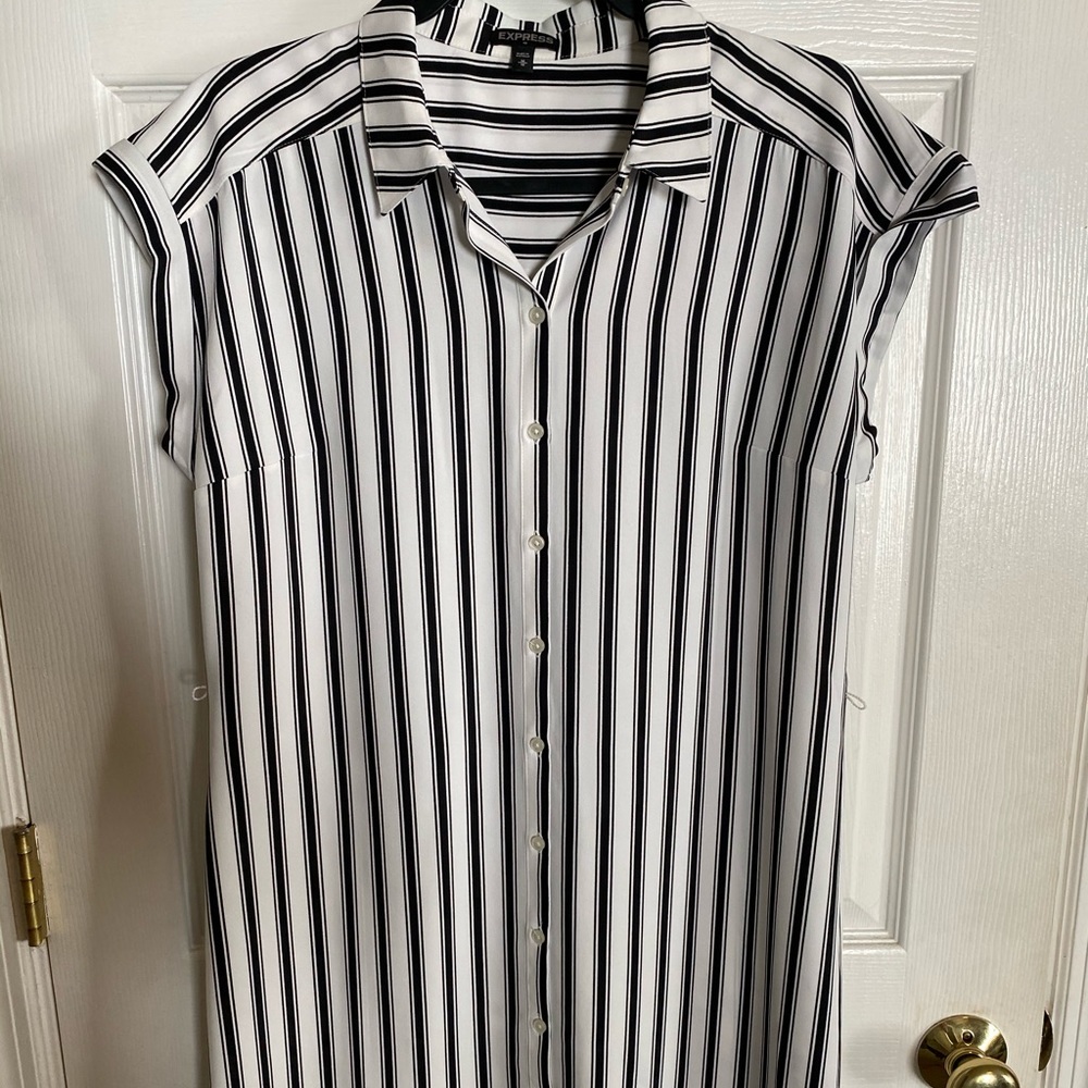 Express shift dress